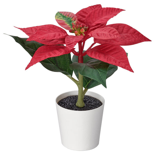 VINTERFINT artificial potted plant, in/outdoor Poinsettia/red, 6 cm