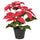 VINTERFINT artificial potted plant, in/outdoor Poinsettia/red, 12 cm