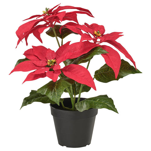 VINTERFINT artificial potted plant, in/outdoor Poinsettia/red, 12 cm