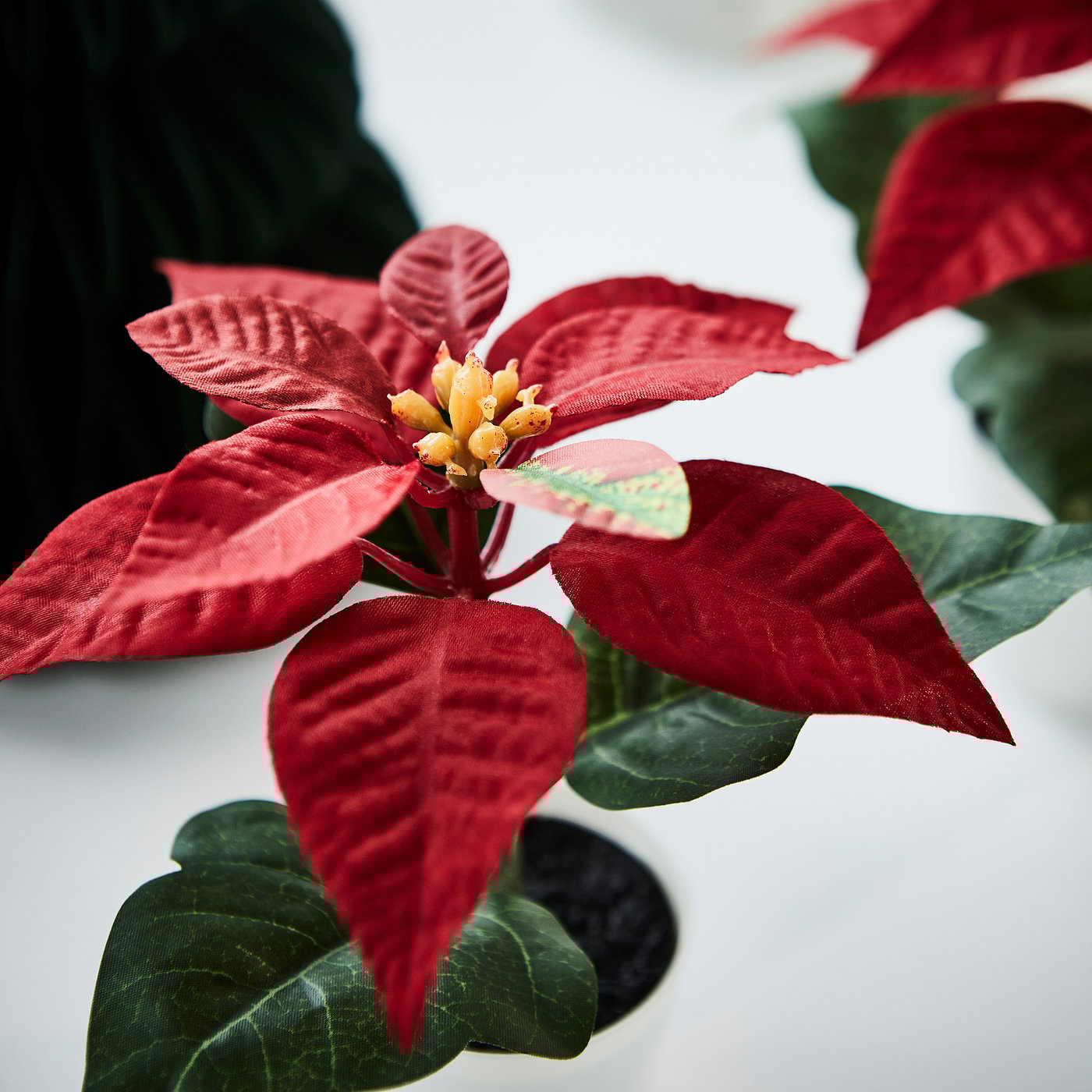 VINTERFINT artificial potted plant, in/outdoor Poinsettia/red, 6 cm