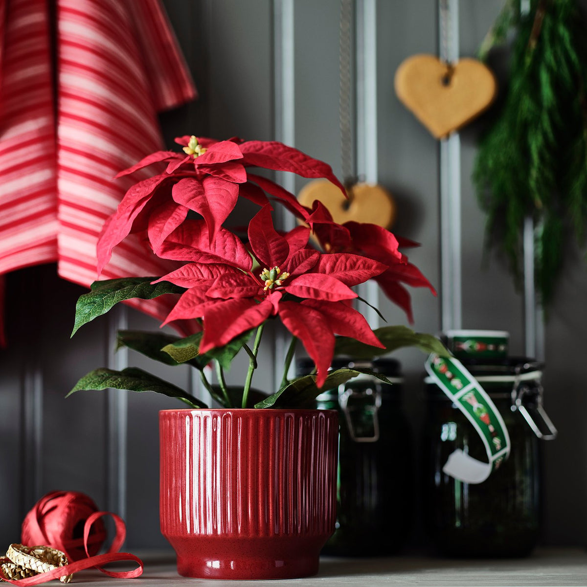 VINTERFINT plant pot, in/outdoor/red, 12 cm