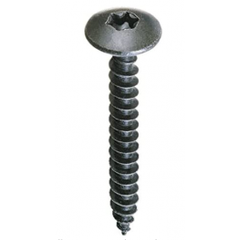 FIBROTECH SCREWS 100 PCS TX20