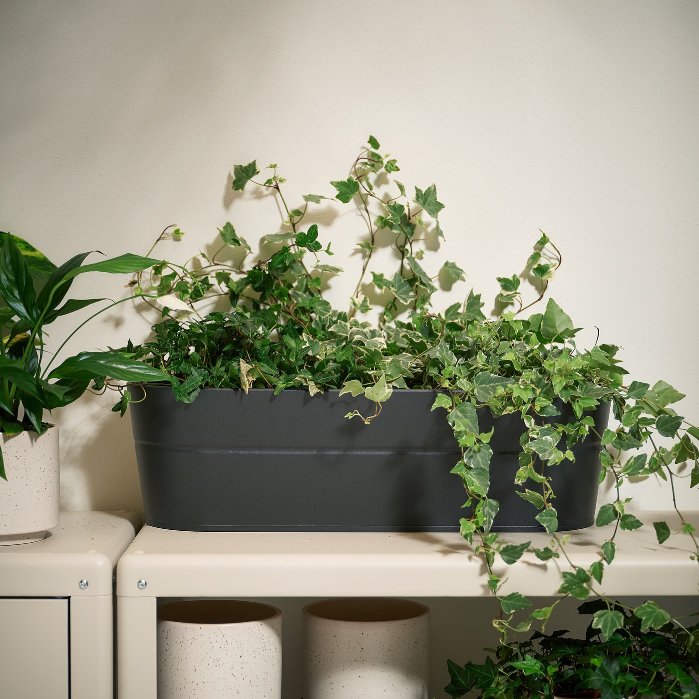 VITLÖK flower box with holder, in/outdoor/anthracite, 56x20 cm