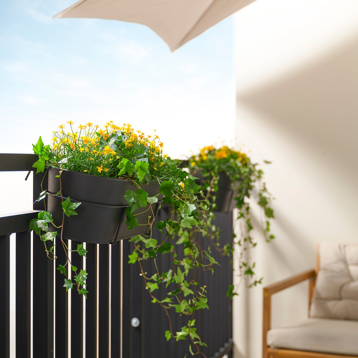 VITLÖK flower box with holder, in/outdoor/anthracite, 56x20 cm