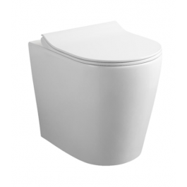 TOILET FLUSH GENTIAN