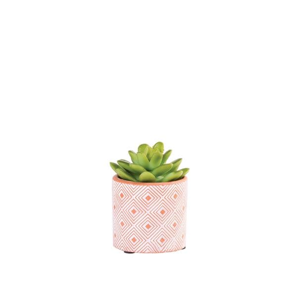 TERRACOTTA artificial succulent, 2 shape variants - best price from Maltashopper.com CS649362