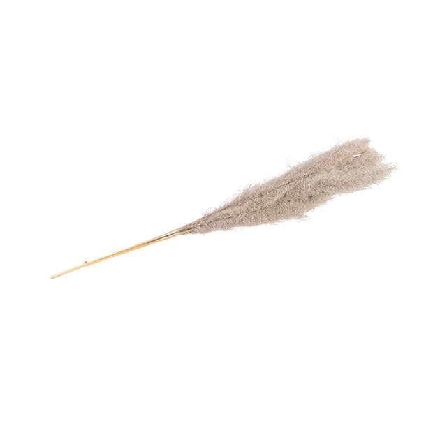 Casa PAMPAS GRASS BLADES S/3