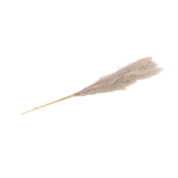 PAMPAS GRASS BLADES S/3