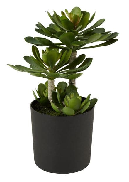 MOHAVE Faux potted succulents 6 model variants - best price from Maltashopper.com CS612129