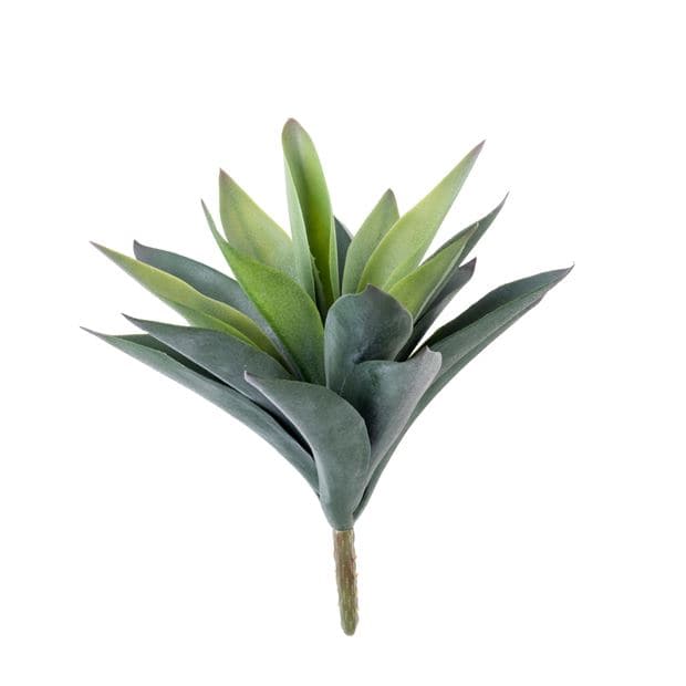 VERA Succulent plant on green stickL 24 cm - Ø 24 cm - best price from Maltashopper.com CS642089