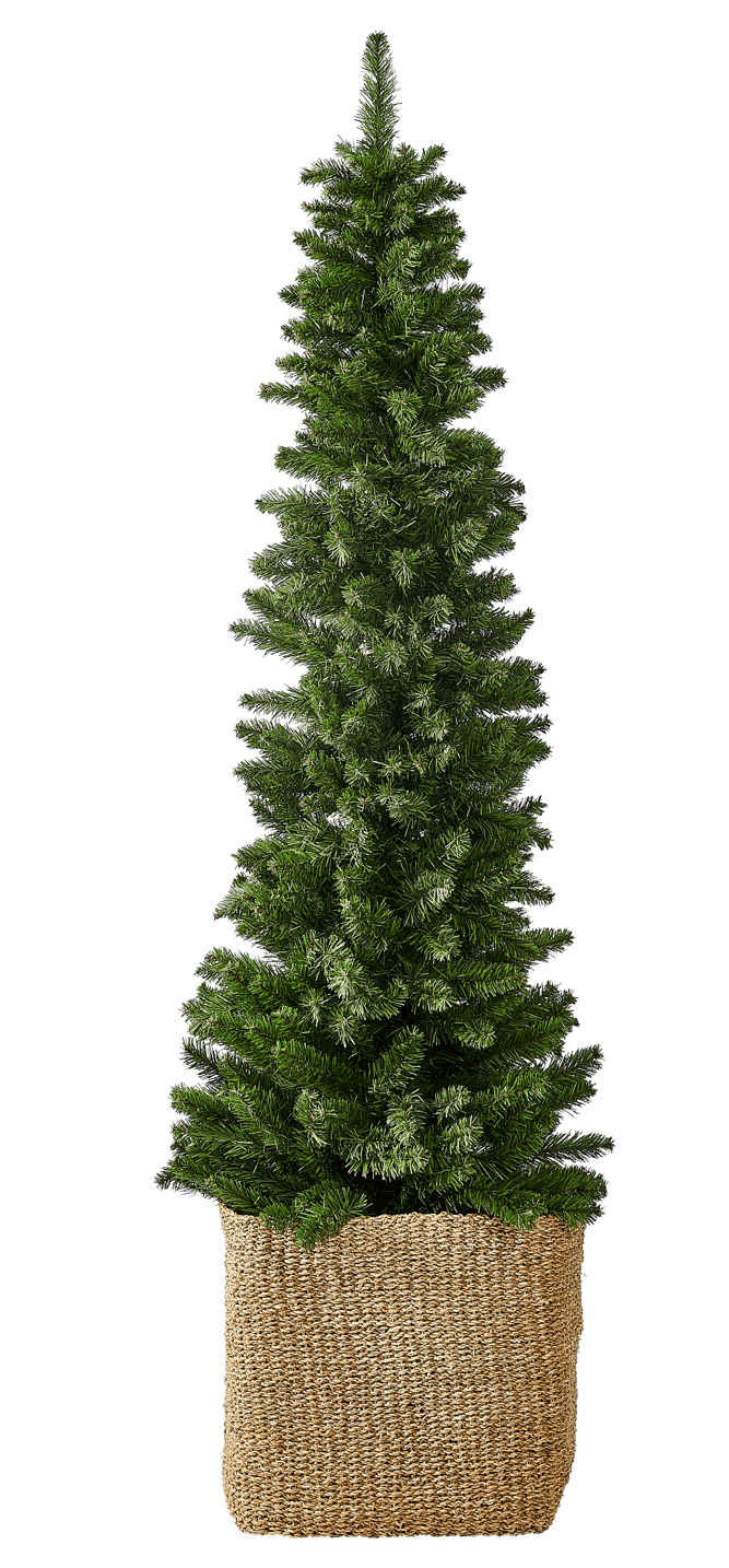 SPIKE Green Christmas tree H 180 cm - Ø 56 cm - best price from Maltashopper.com CS613333