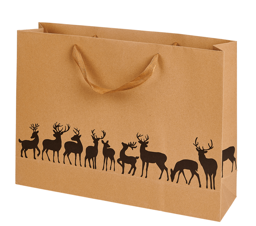 Casa XMAS KRAFT GIFT BAG 45X33 3MOT