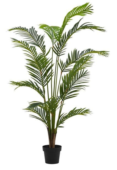 KWAI Green palm H 180 cm - Ø 14.5 cm - best price from Maltashopper.com CS624729