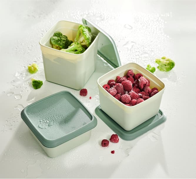 FREEZER Freezer boxes set of 10 mint, dark green - best price from Maltashopper.com CS687225