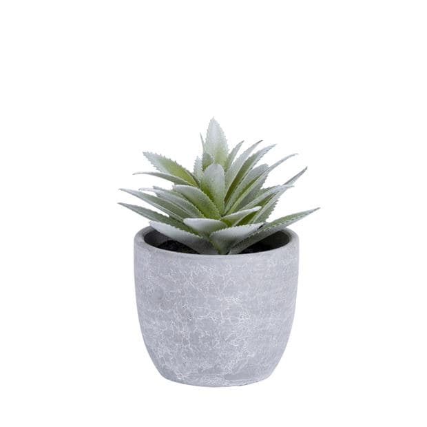 FLOCKY PLANT IN POT 4ASS - best price from Maltashopper.com CS661080