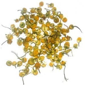 Bliss Chamomile Heads (1kg)
