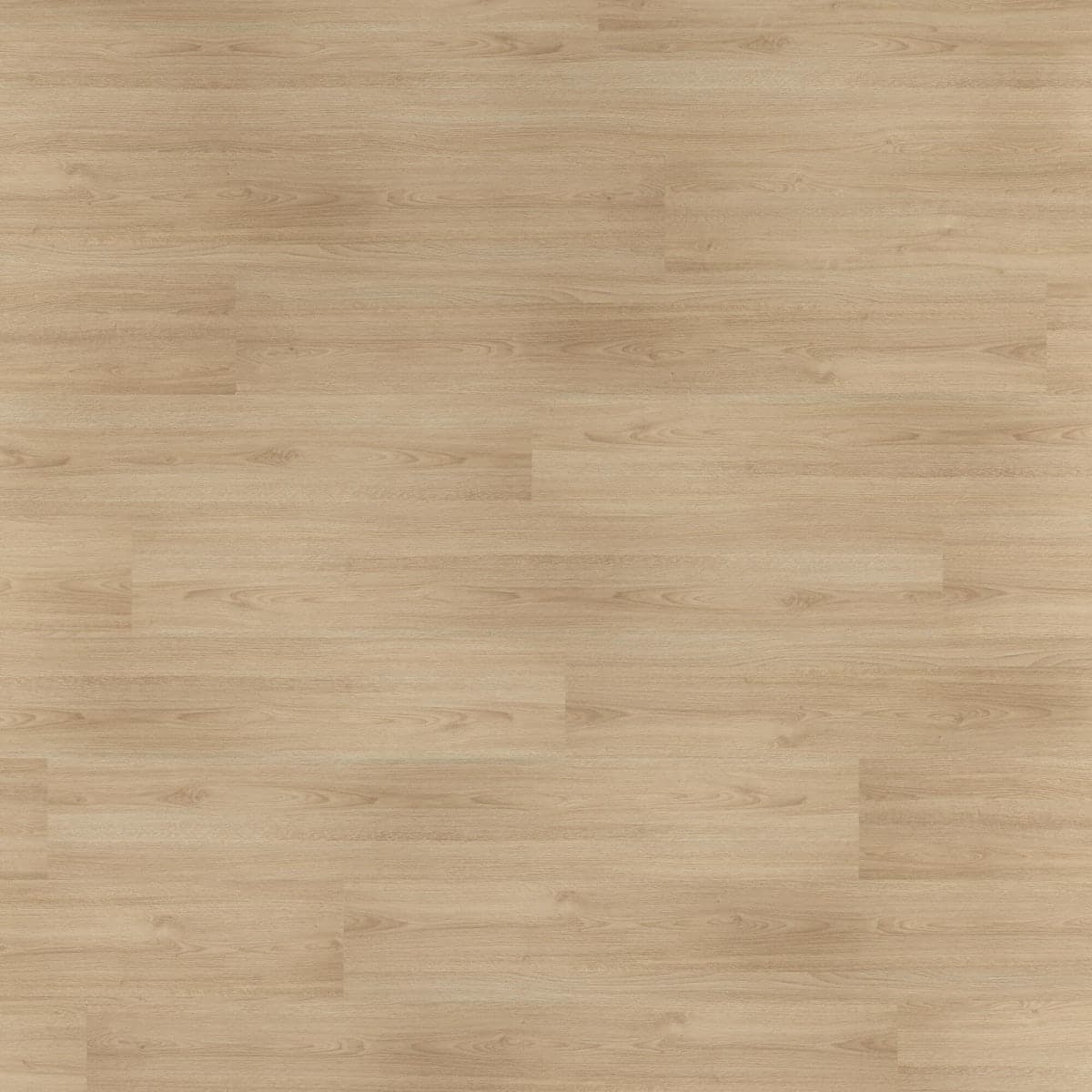 LAMINATE BELA 7/31 2.49M² MEDIUM NATURAL - best price from Maltashopper.com BR440002670