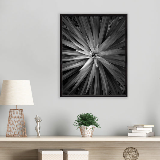 Bricocenter BOMBER FRAME 30X45 CM WOOD BLACK