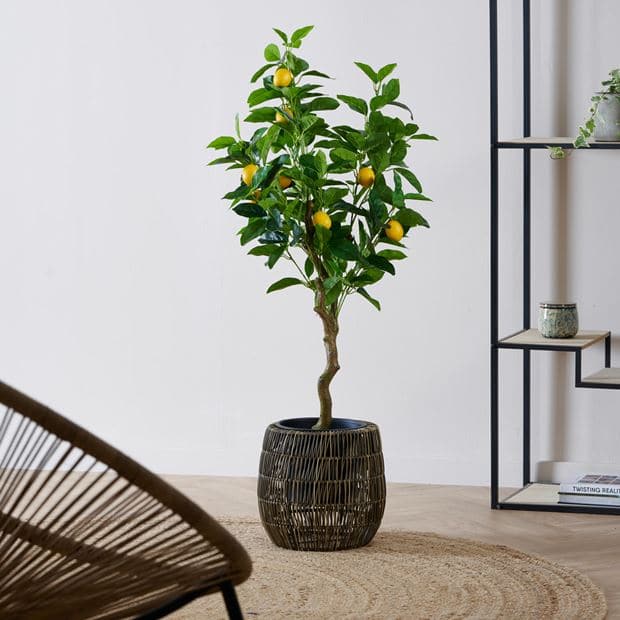 Casa LEMON Green lemon tree H 100 cm - Ø 55 cm