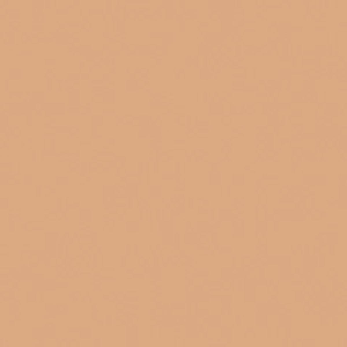 Bricocenter LIGHT BROWN TWO-COMPONENT WOOD FILLER PRESTO 250GR