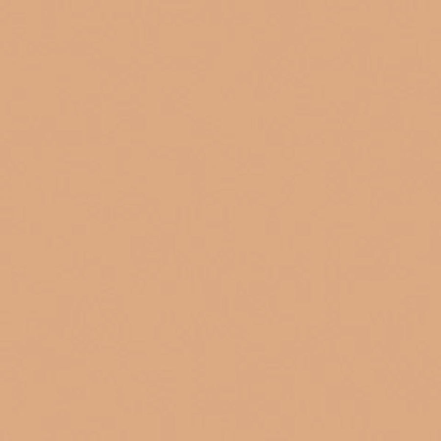 Bricocenter LIGHT BROWN TWO-COMPONENT WOOD FILLER PRESTO 250GR