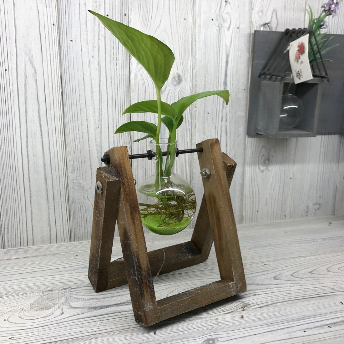 Hydroponic Home Décor - One Pot Wooden Stand - best price from Maltashopper.com HHD-01