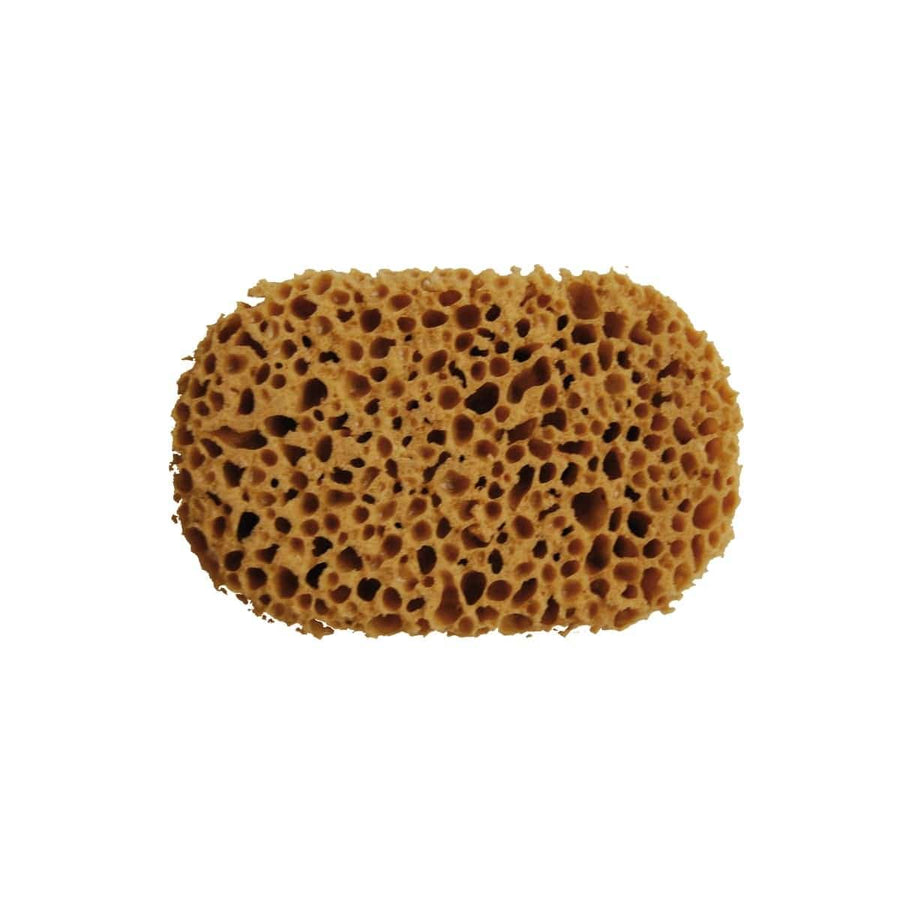 Bricocenter SYNTHETIC SEA SPONGE - PINTY