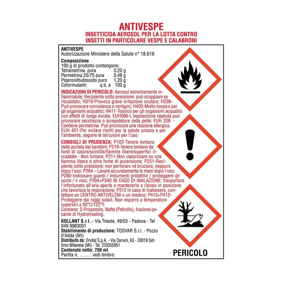 Bricocenter ANTIVESPE FOAMING AGENT SP 750ML