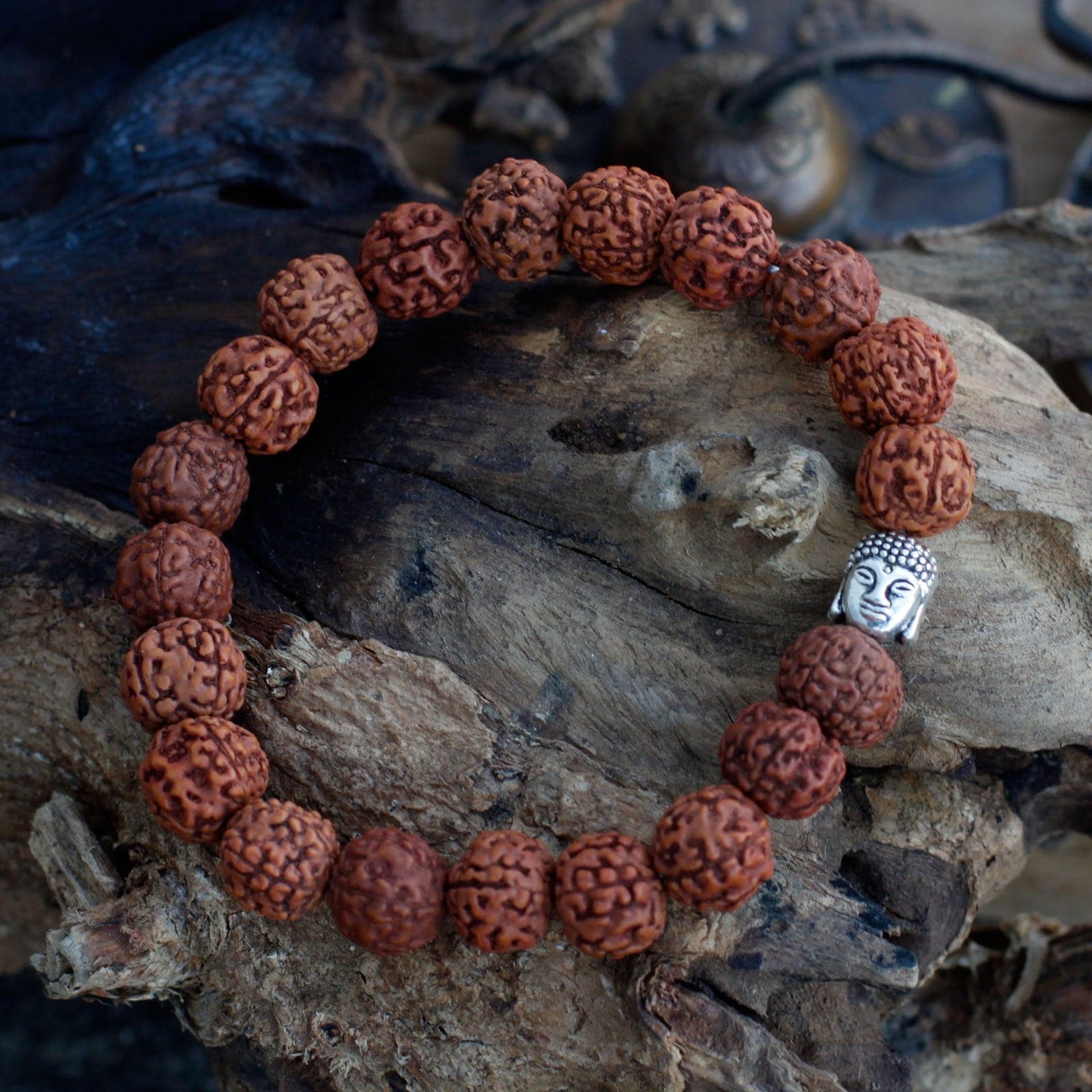 Rudraksha Buddah Bangle Mala - Brown - best price from Maltashopper.com RUDR-05