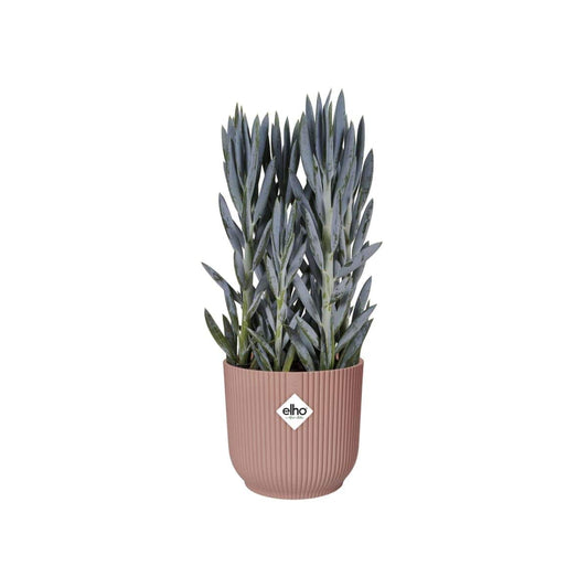 Bricocenter COVER POT VIBES PINK 16 CM