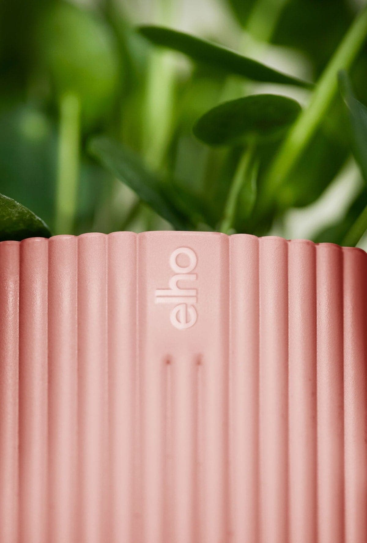 VIBES COVER PINK 22 CM - Premium Cover pots and glass vases from Bricocenter - Just €18.99! Shop now at Maltashopper.com