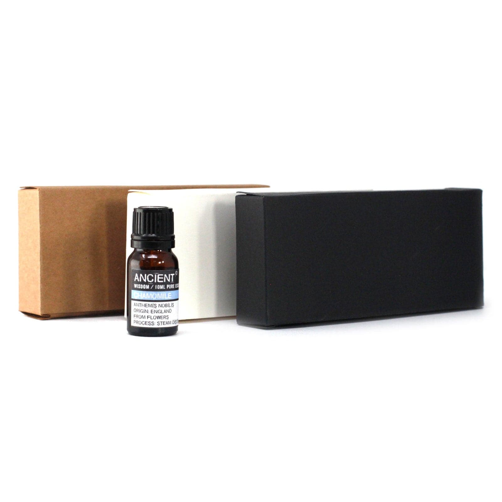 Bliss Box for 6 10ml Essential Oil Bottles - Brown