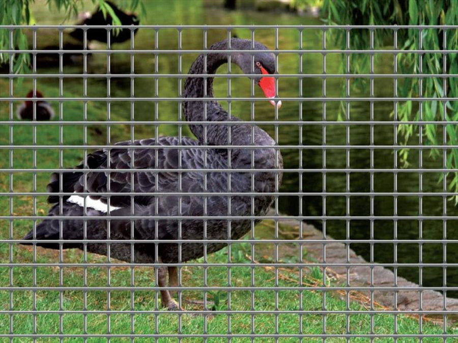 Bricocenter ELECTROZINC SILVER METAL NET 1X10 M