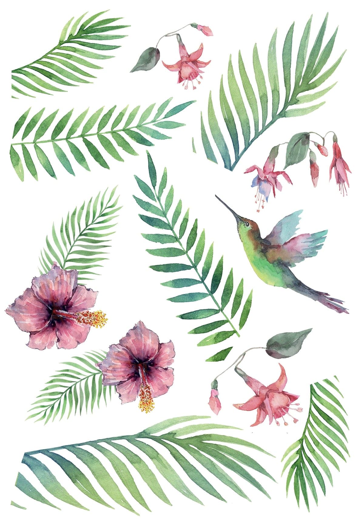 Bricocenter TROPICAL HUMMINGBIRD WALL STICKER L 47.5X67