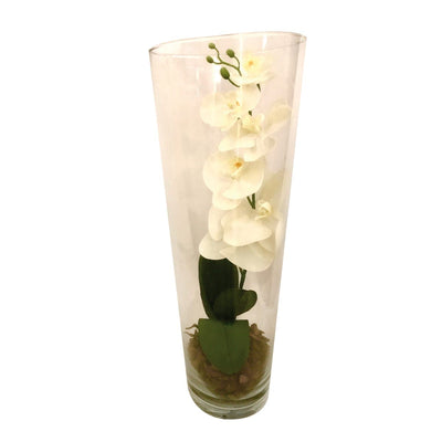 COMPOSITION ORCHID IN GLASS POT cm 50 - best price from Maltashopper.com BR510006207