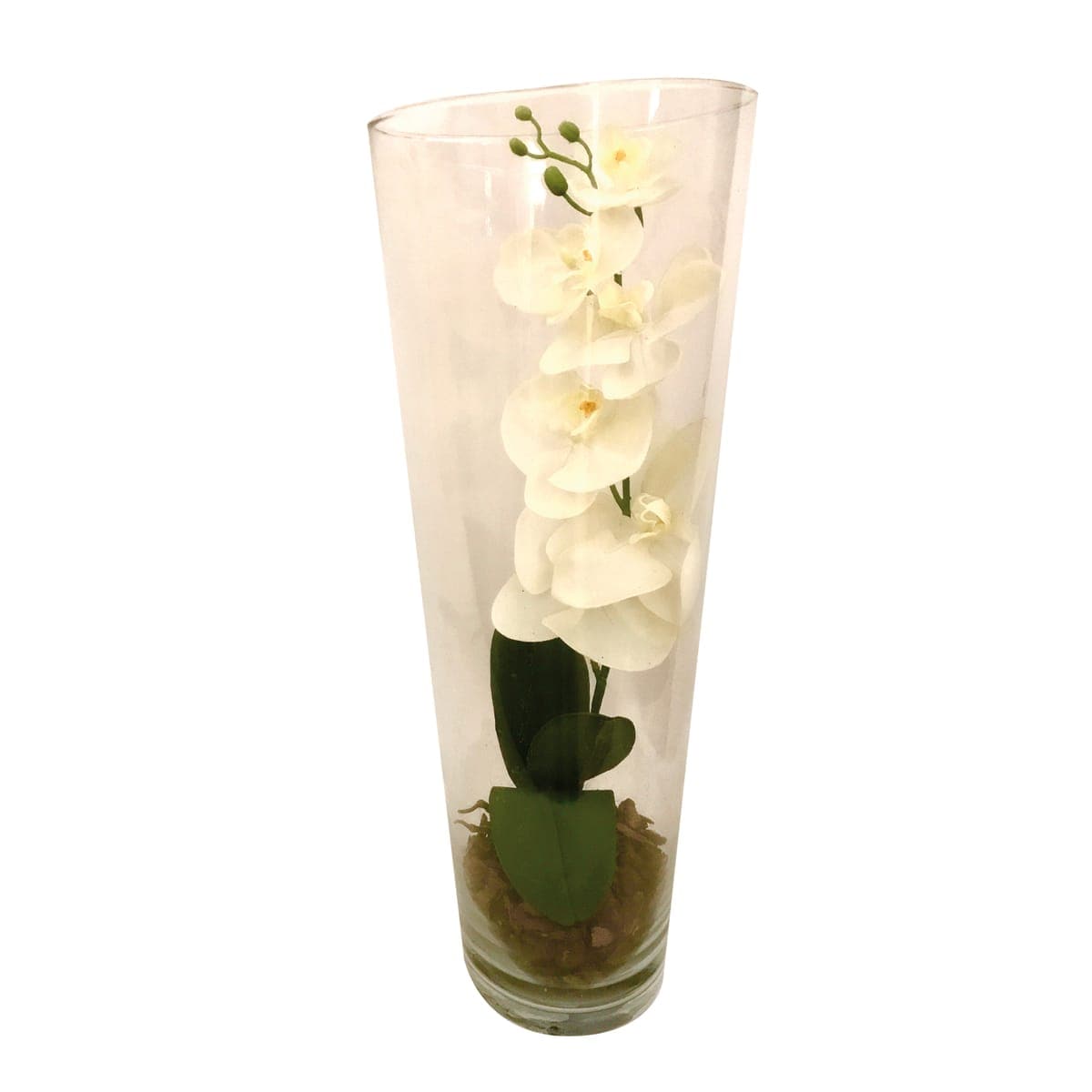 COMPOSITION ORCHID IN GLASS POT cm 50