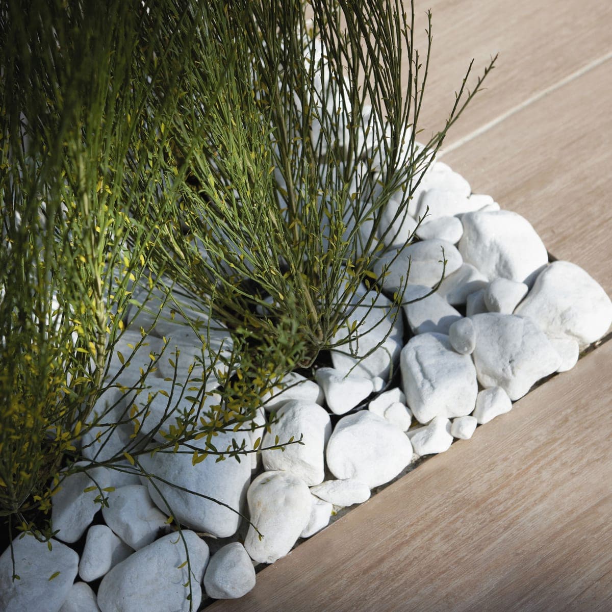 Bricocenter CARRARA WHITE PEBBLE 25/40 MM BAG OF 20 KG