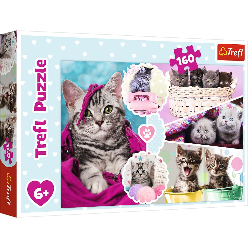 160 Piece Puzzle - Adorable Kittens