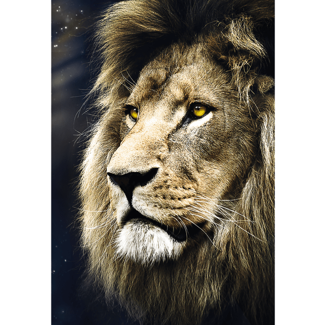 Toys 1500 Piece Puzzle - Lions Portrait