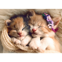 500 Piece Puzzle - Sleeping Kittens