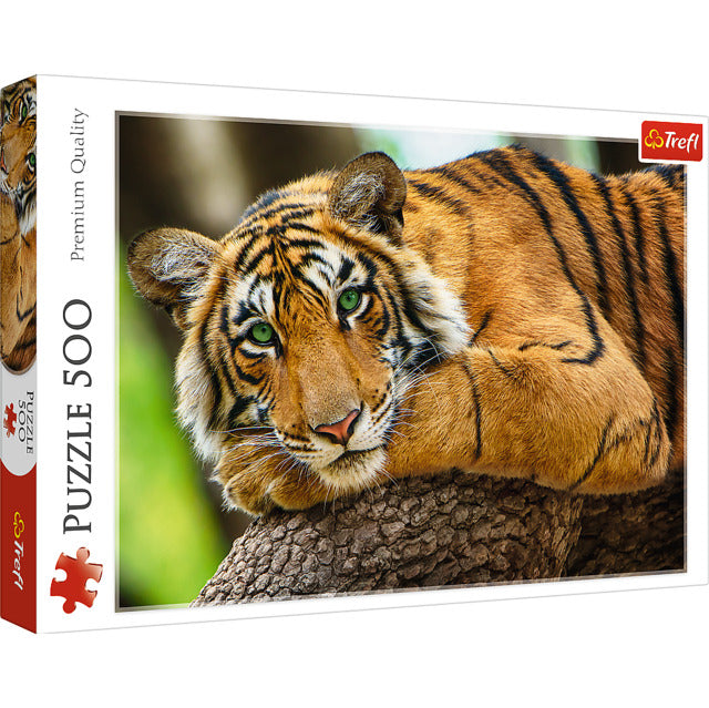 500 Piece Puzzle - Portrait of a Tiger