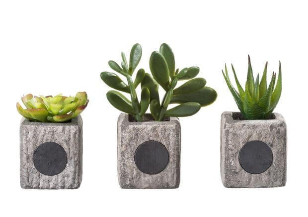 GREENS MAGNETIC PLANT POTS WITH ARTIFICIAL PLANTS H11CM 3SHA - best price from Maltashopper.com CS600600