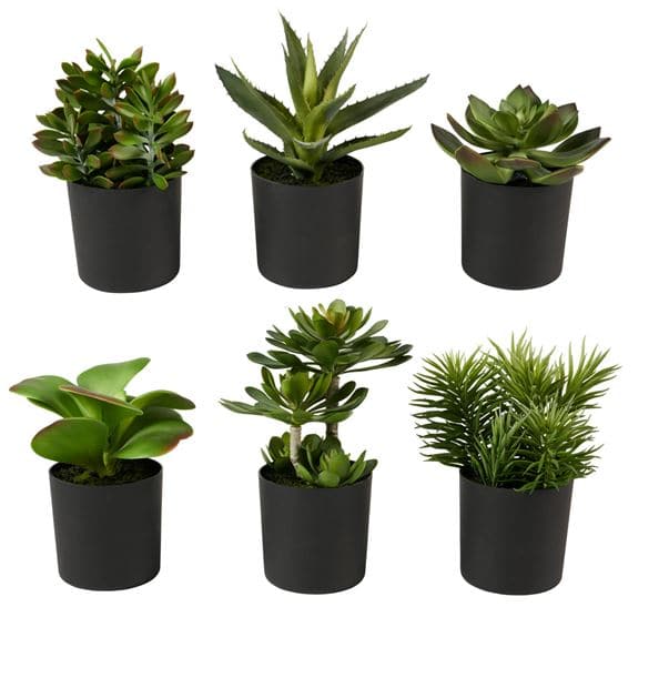 MOHAVE Faux potted succulents 6 model variants - best price from Maltashopper.com CS612129