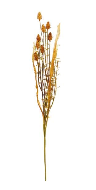 PLANTAGO HERBS BRANCH 3COL - best price from Maltashopper.com CS662522