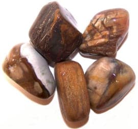M TumbMe Stone - Petrified Wood - Premium  from Bliss - Just €0.48! Shop now at Maltashopper.com