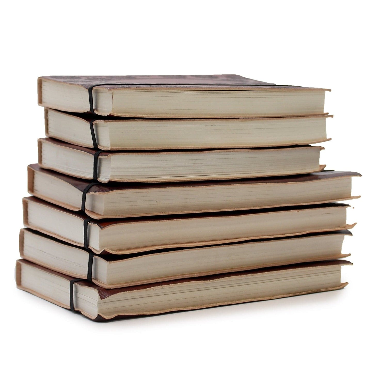 Bliss Medium Notebook with strap - Tree of Life