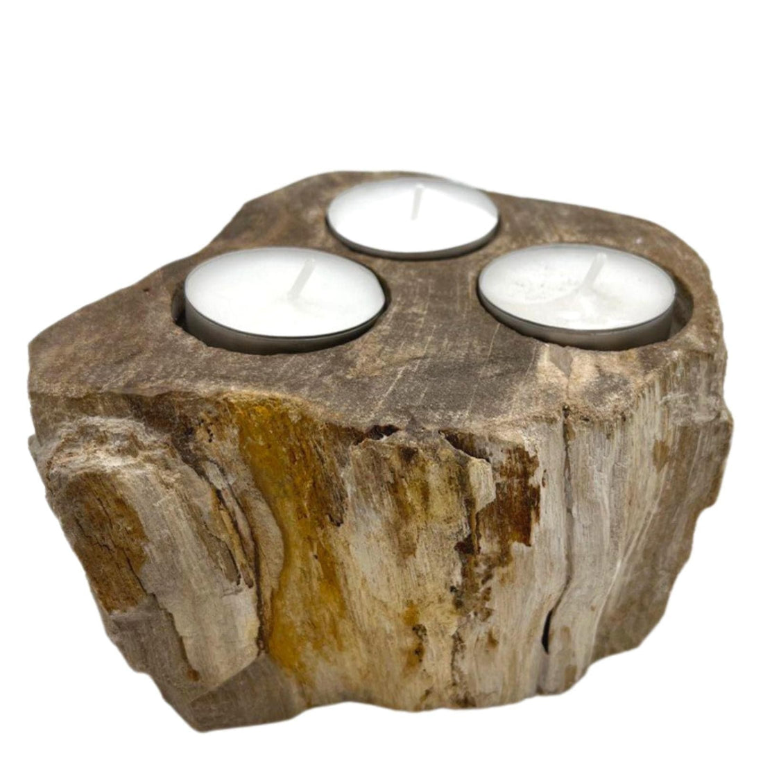 Petrified Wood Candle Holder - Triple - best price from Maltashopper.com PETW-04