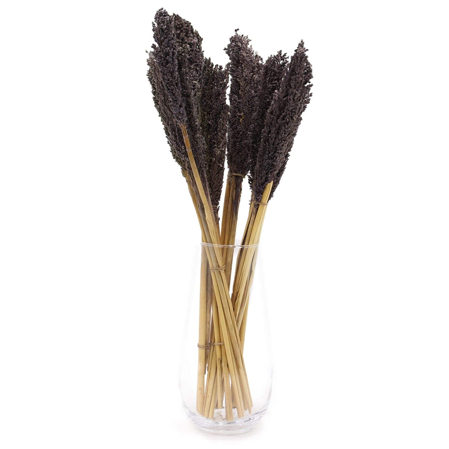 Bliss Cantal Grass Bunch - Black