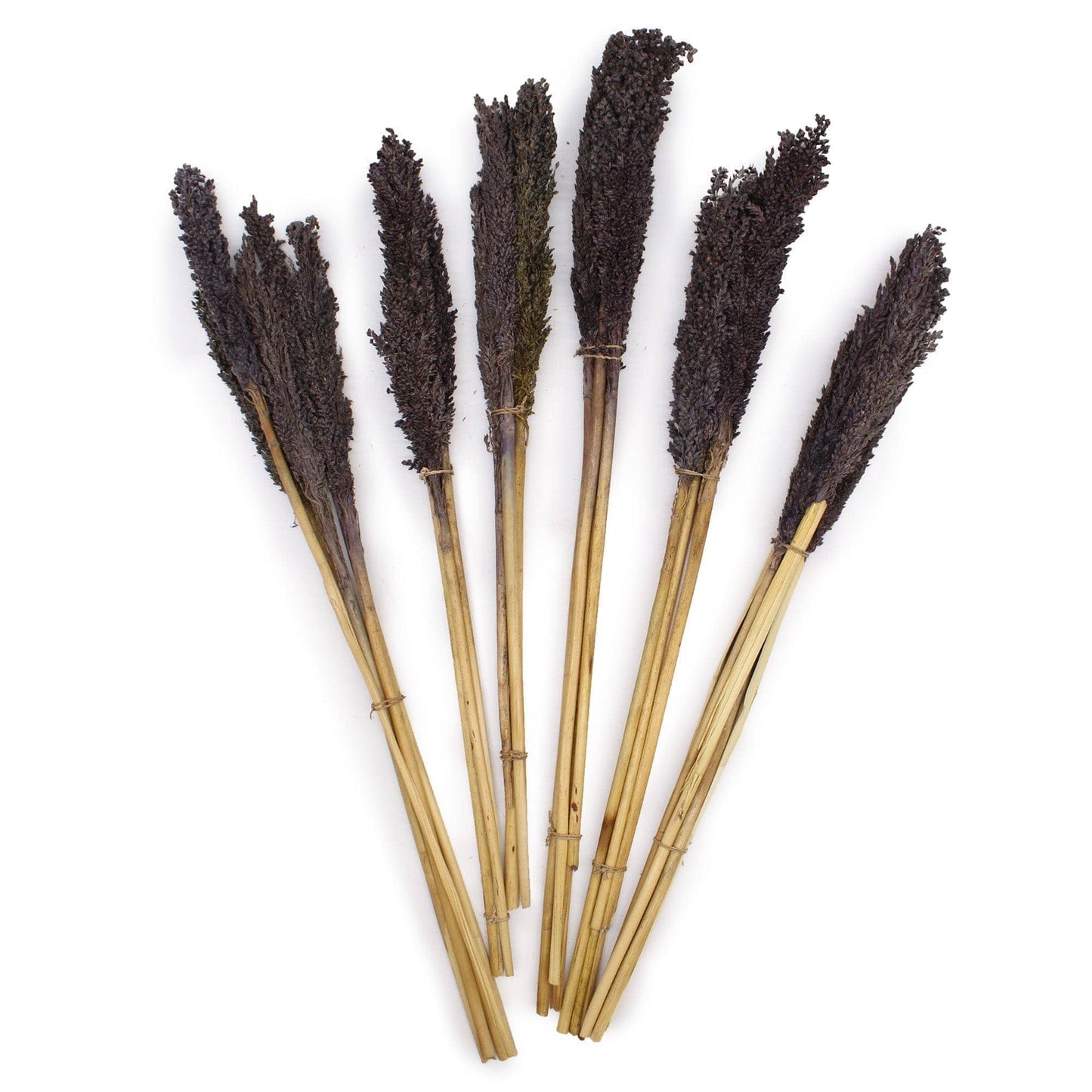 Bliss Cantal Grass Bunch - Black