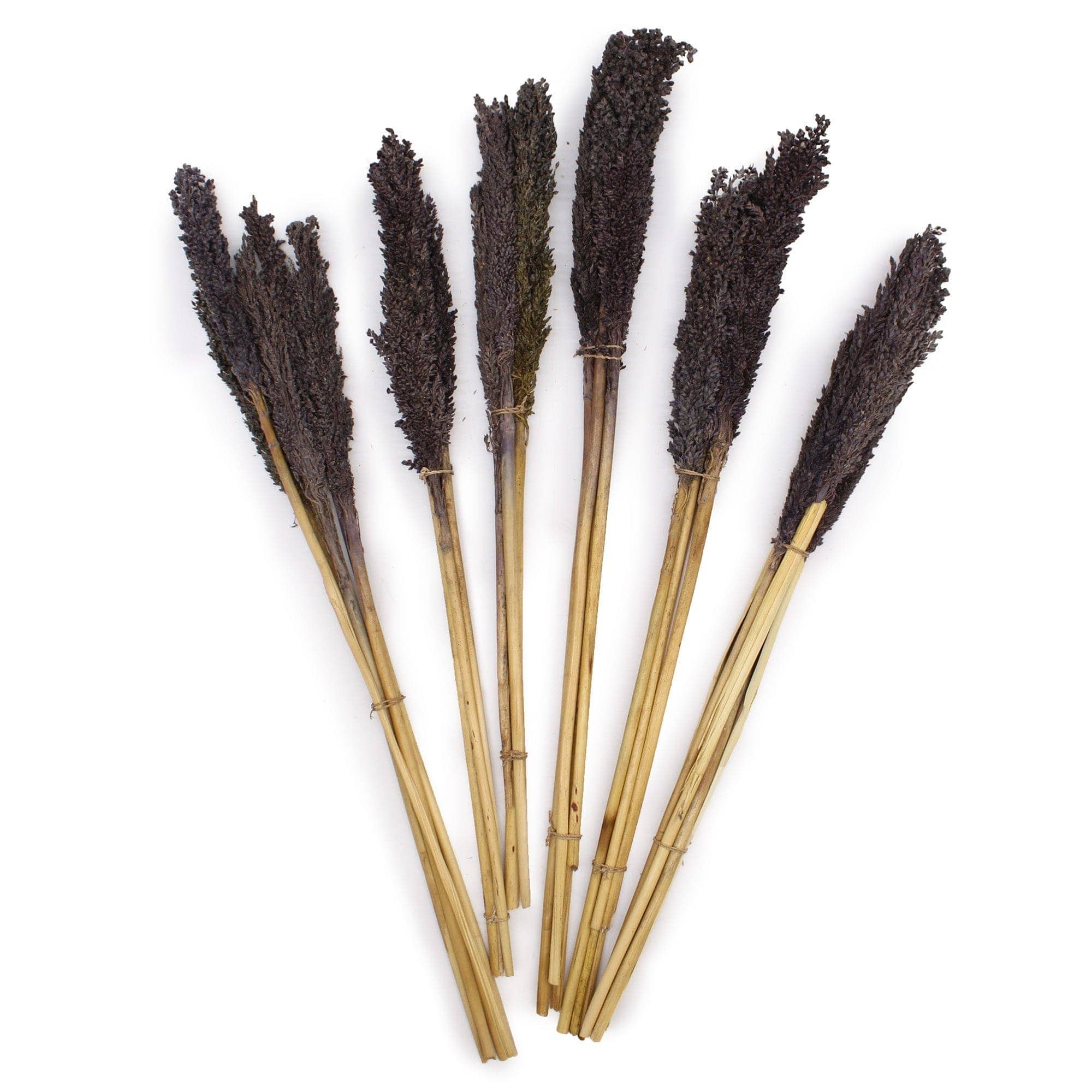 Cantal Grass Bunch - Black - Premium  from Bliss - Just €3.60! Shop now at Maltashopper.com